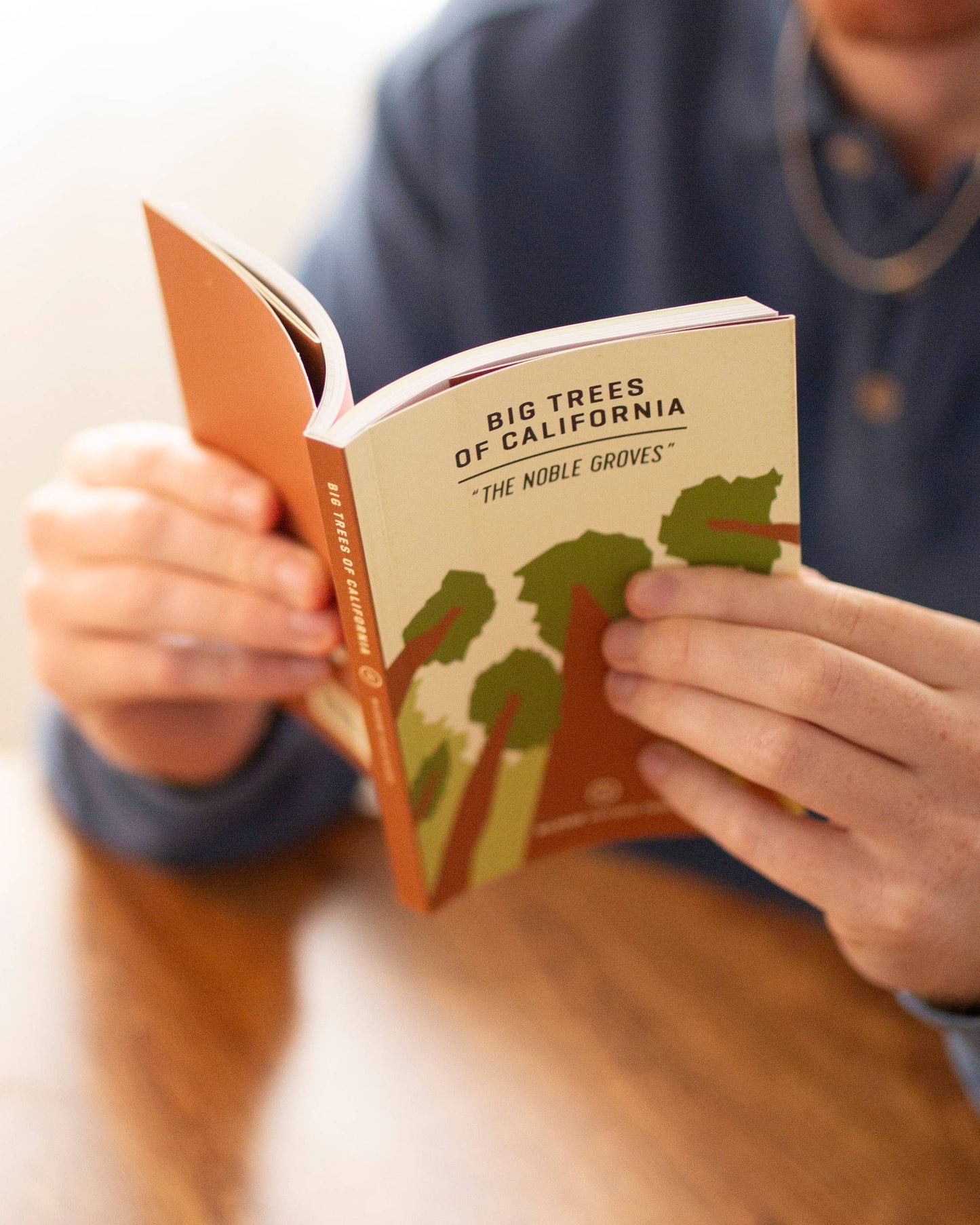 Big Trees of California