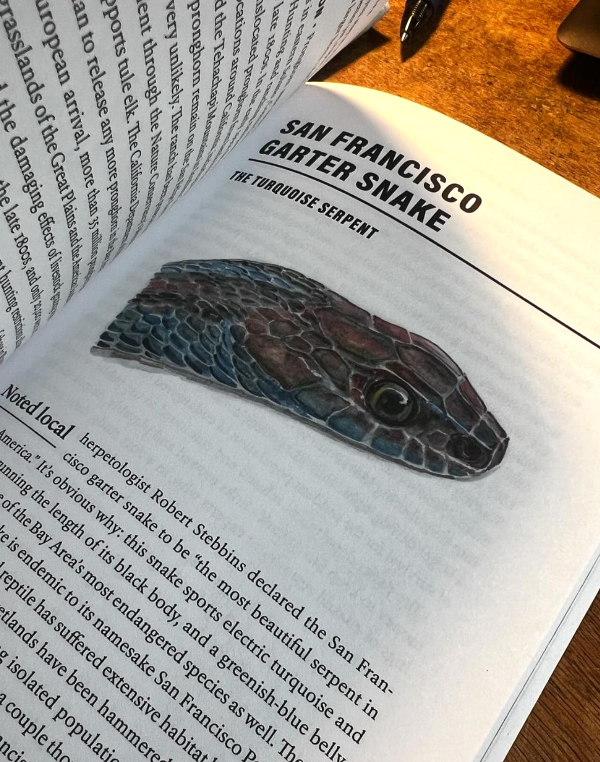 Bay Area Wildlife Book by Jeff Miller
