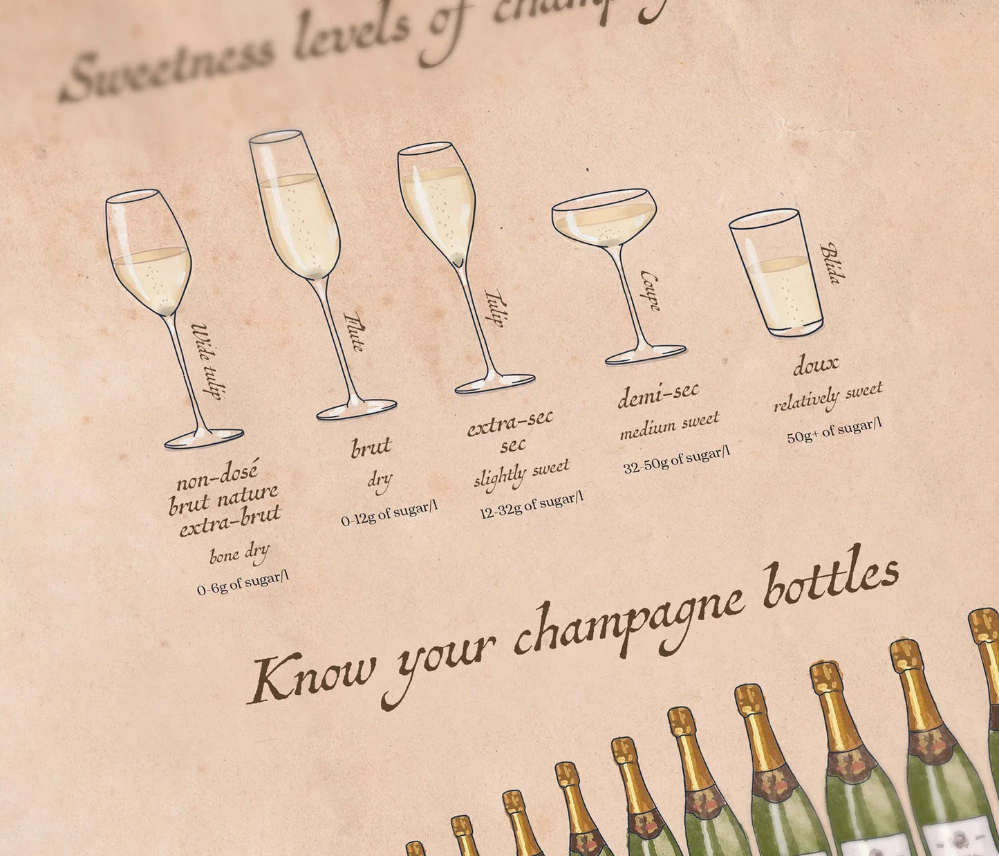 Wine Puzzle - Champagne