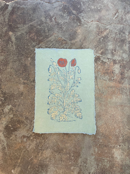 Poppy Print