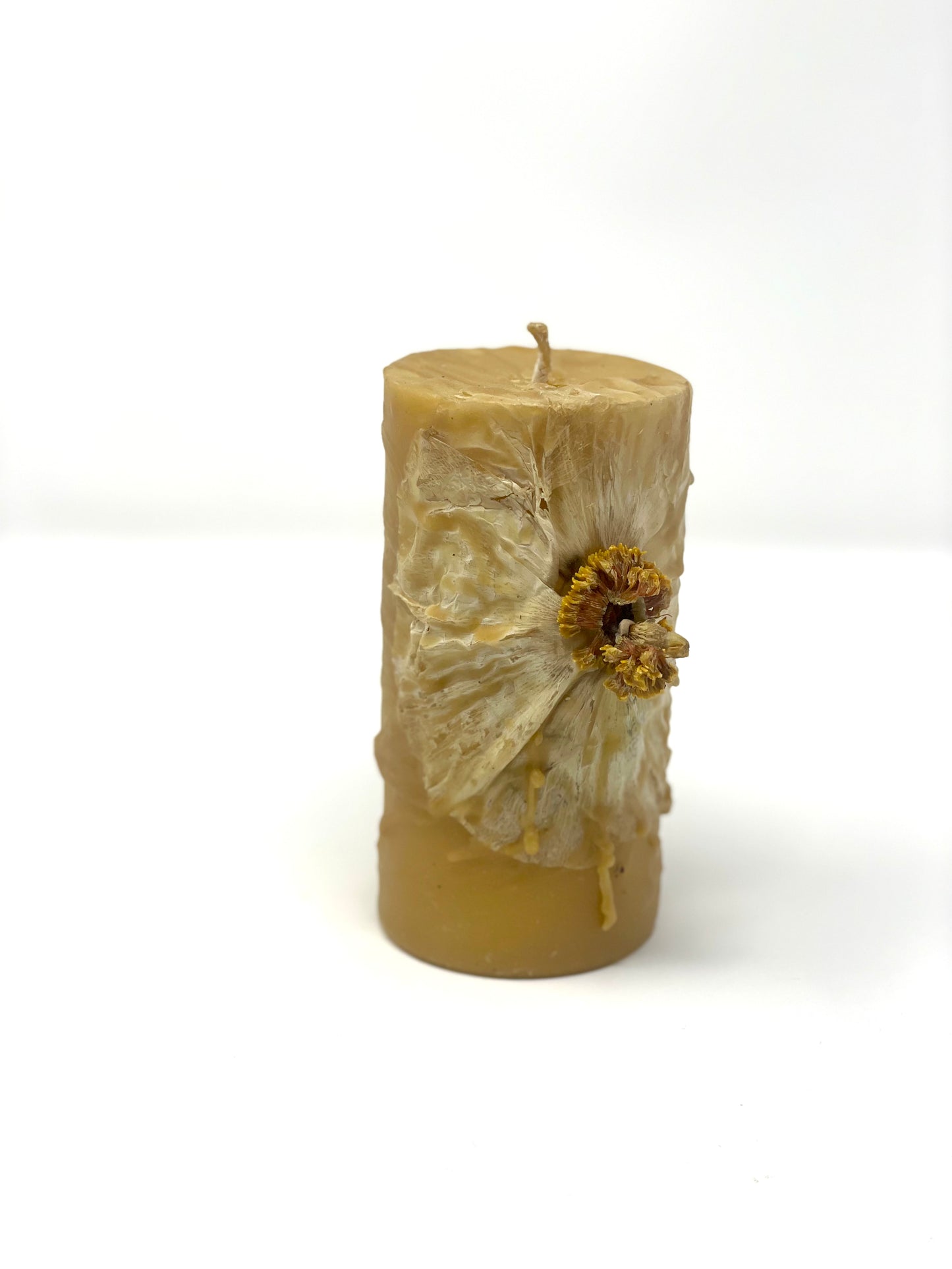 Candle of Flora Beeswax by Louesa Roebuck