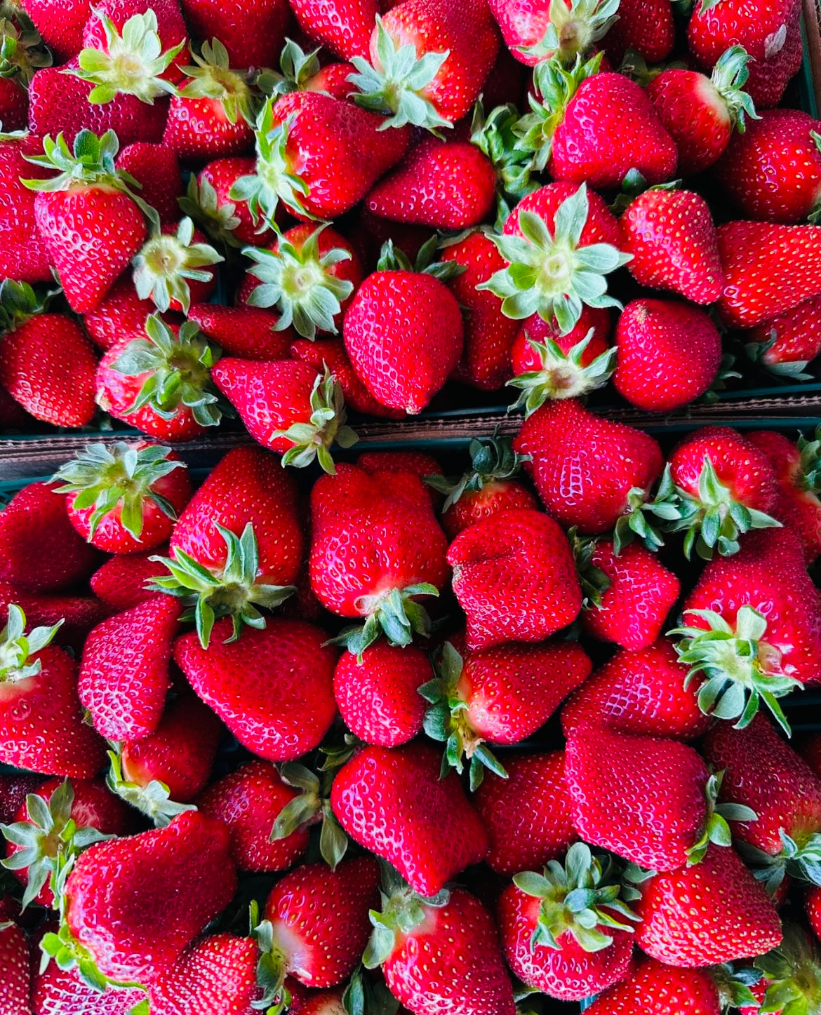 Family Recipe Watmaugh Strawberry Jam by Shopkeeper Studio