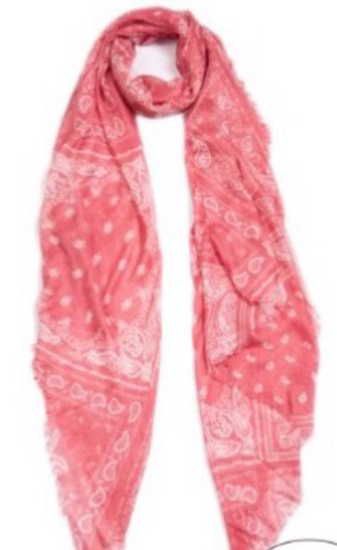 Vintage Paisley Cashmere-Modal Scarf