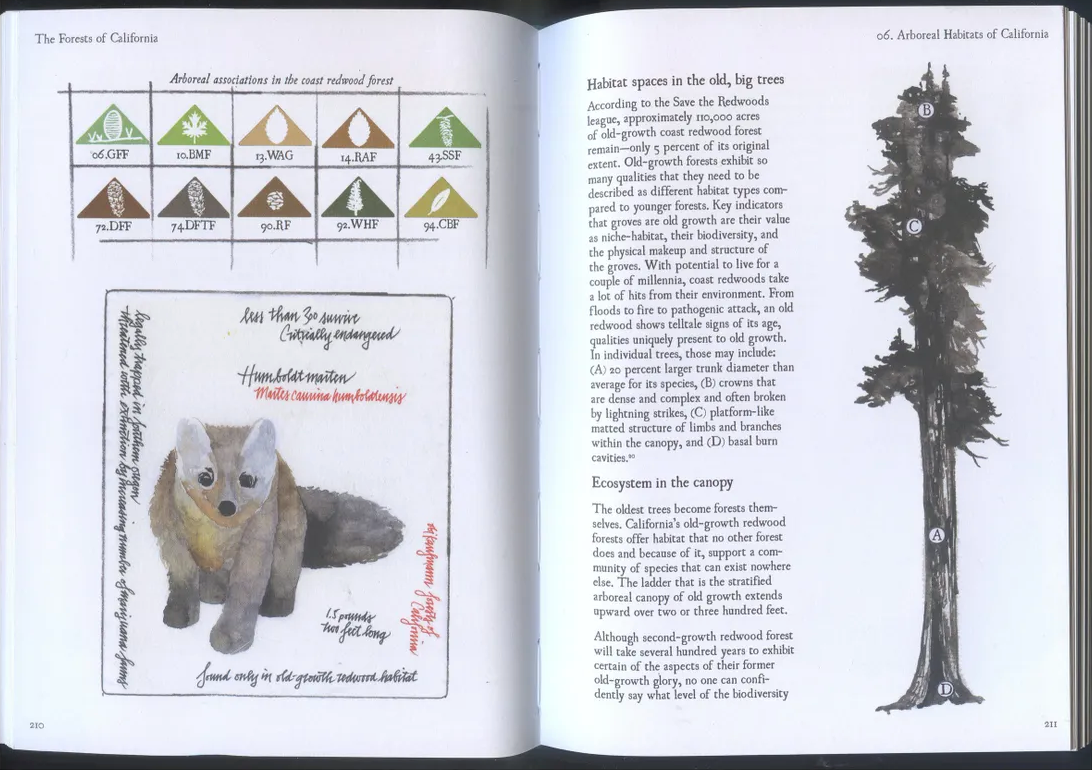 Book by Obi Kaufmann Forests of California