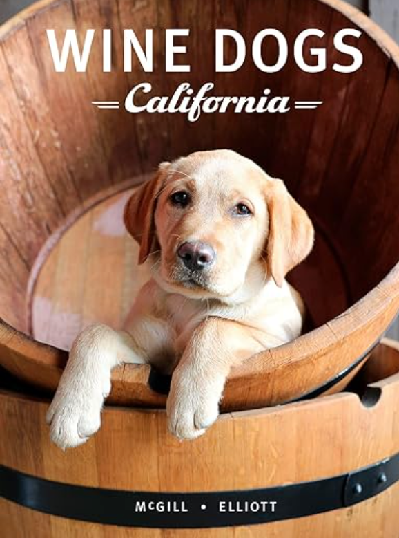 Wine Dogs Book