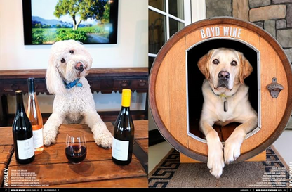 Wine Dogs Book