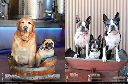 Wine Dogs Book