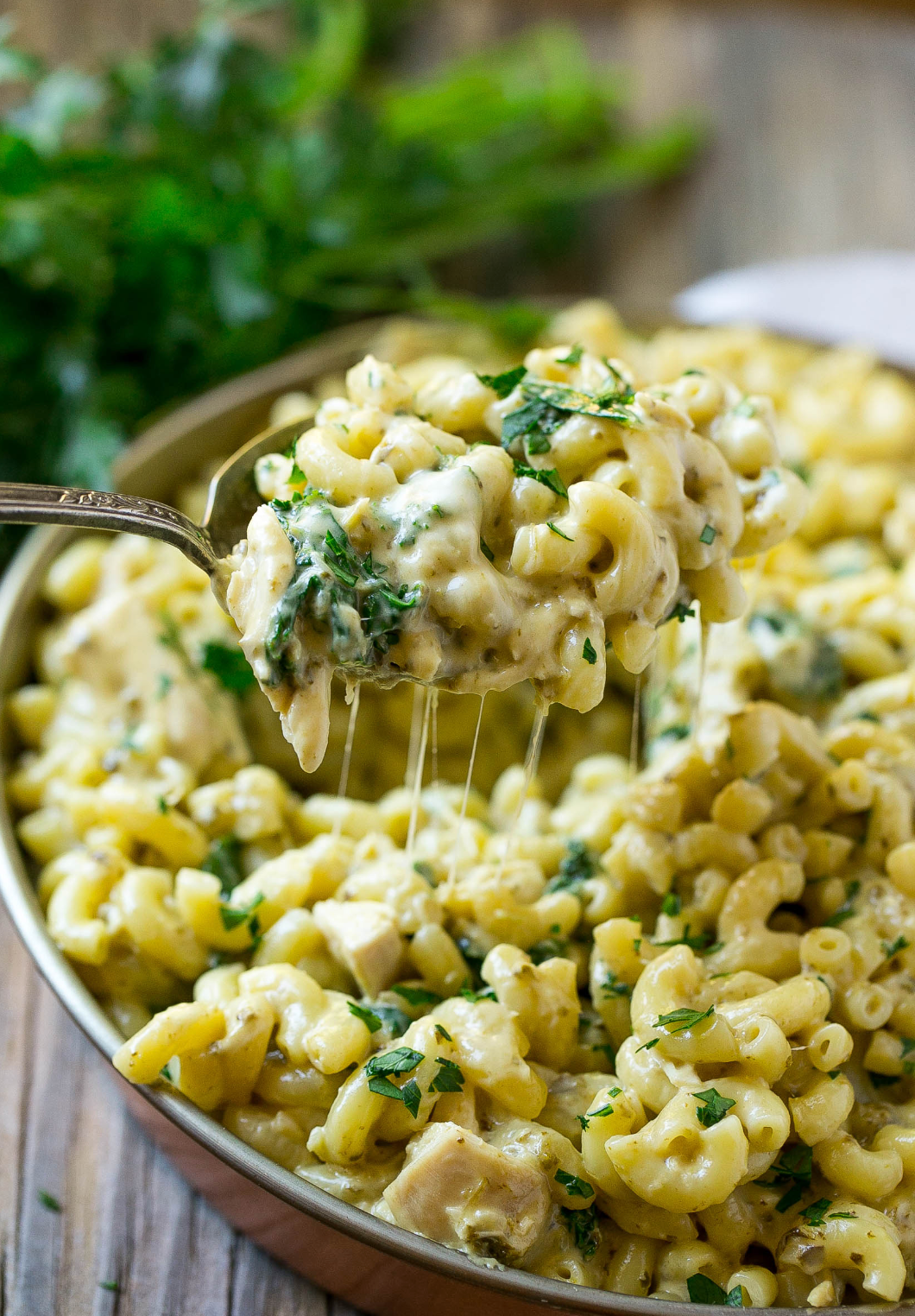 Culinary Pasta Sauce - Kale Pesto with White Cheddar