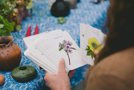 Listening to Flowers by Dina Saalisi