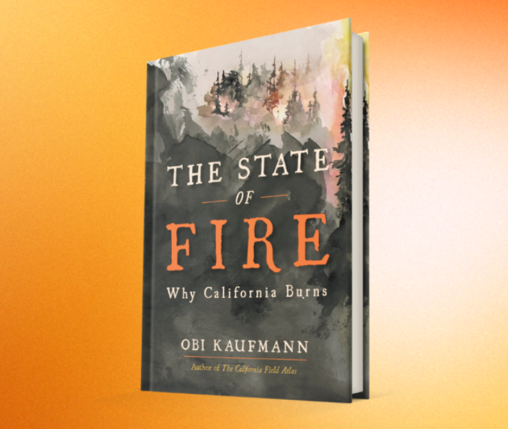 The State of Fire Book by Obi Kaufmann