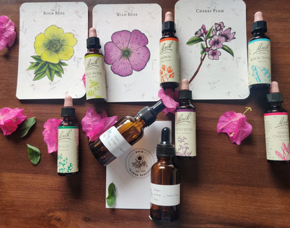 Listening to Flowers by Dina Saalisi